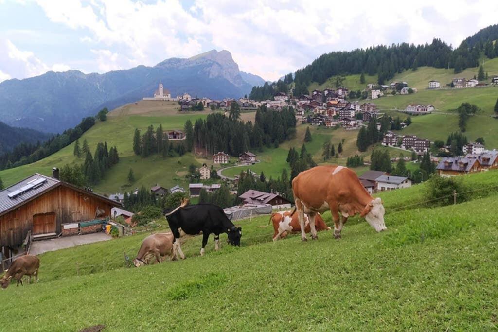 App Col Di Lana - Agriturismo La Majon Da Col كوليه سانتا لوسيا المظهر الخارجي الصورة